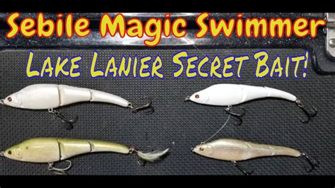 Sebile Magic Swimmers: How to Trigger Predatory Instincts